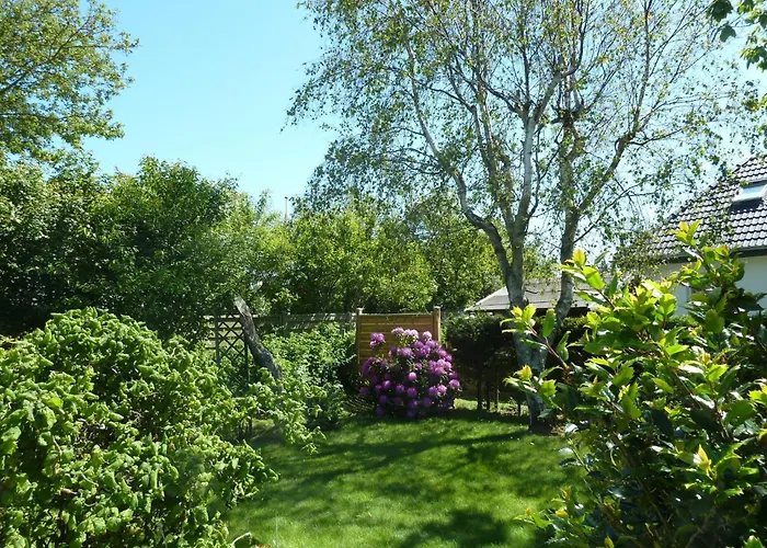 Goting-perle Nieblum