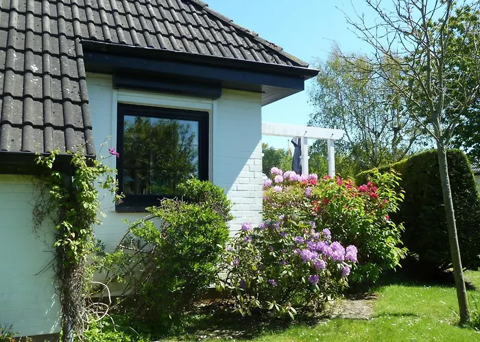 Goting-perle Nieblum